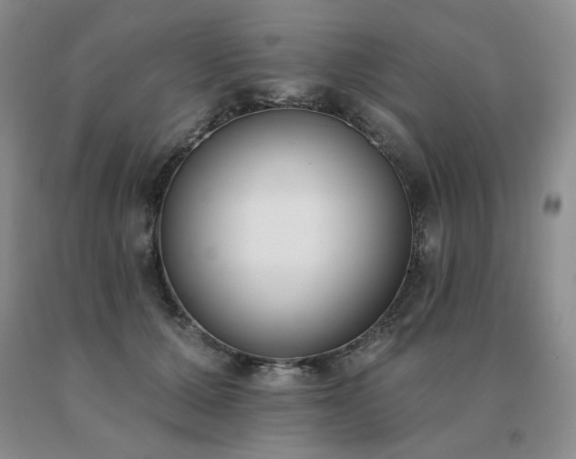 X0000091070607200708061303