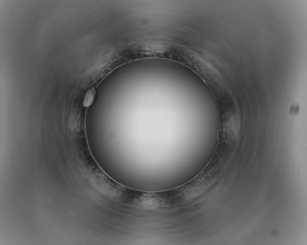 X0000091070608200708061303