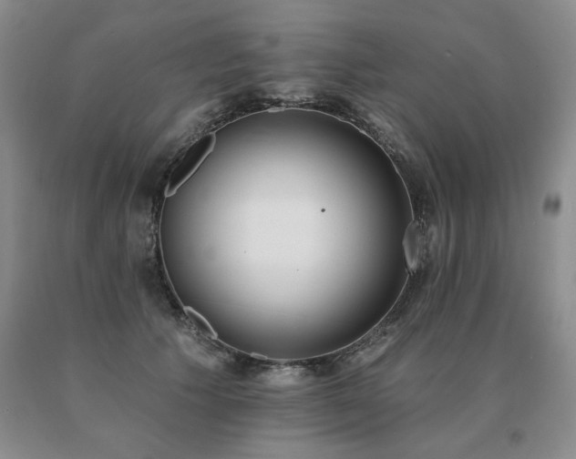X0000091070609200708061303