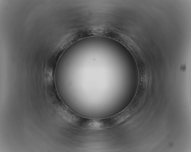 X0000091070610200708061303