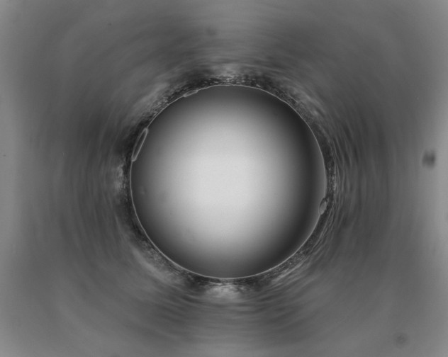 X0000091070611200708061303