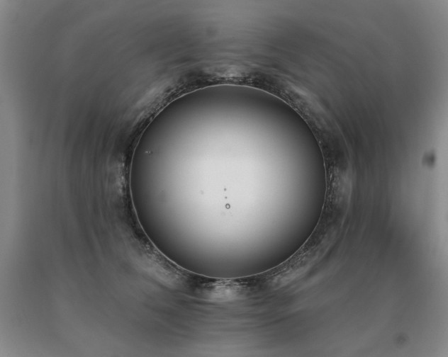 X0000091070612200708061303