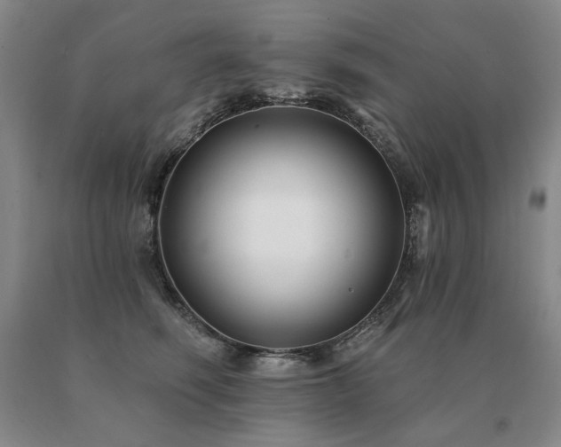 X0000091070614200708061303