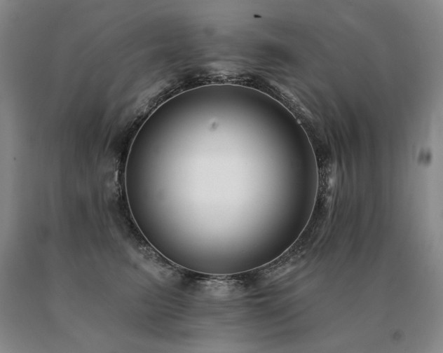 X0000091070615200708061303