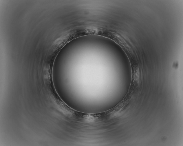 X0000091070616200708061303