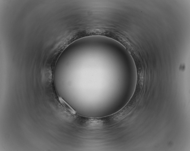 X0000091070617200708061303