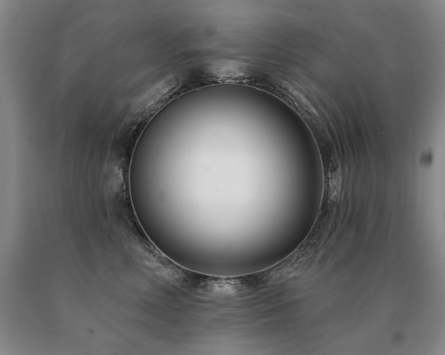 X0000091070618200708061303
