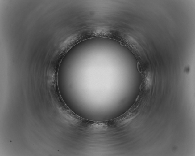 X0000091070619200708061303