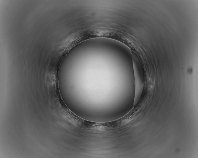 X0000091070620200708061303