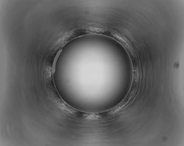 X0000091070621200708061303