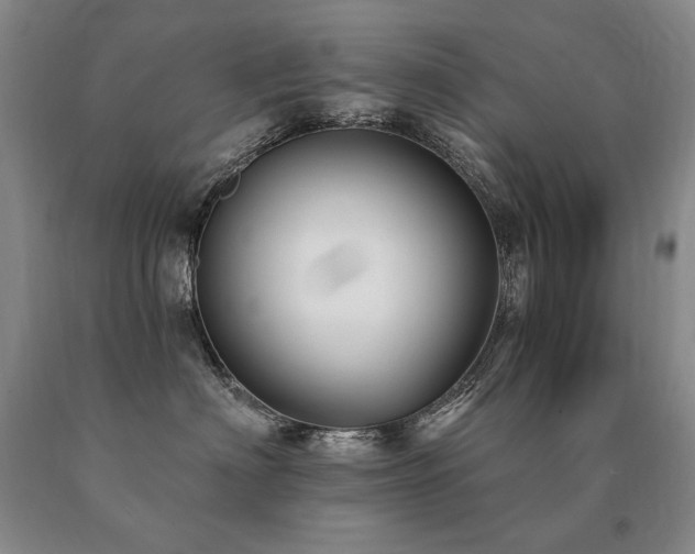X0000091070622200708061303