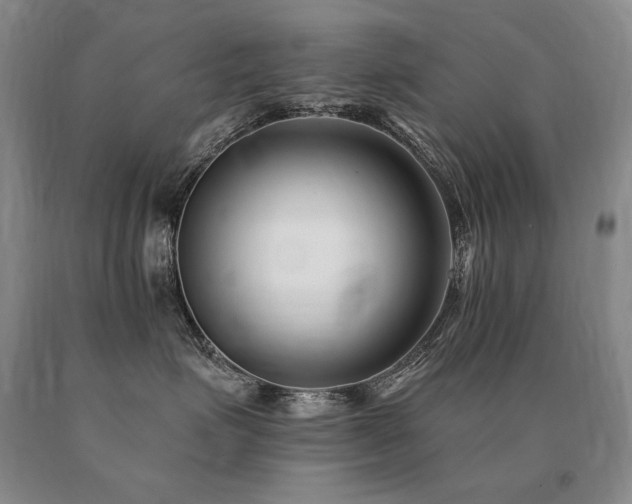 X0000091070623200708061303
