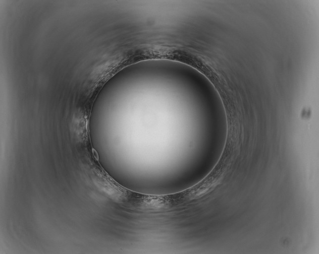X0000091070624200708061303