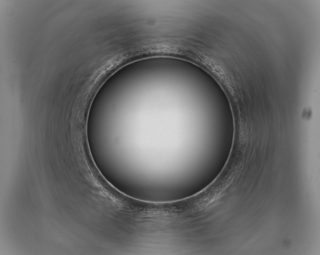 X0000091070625200708061302