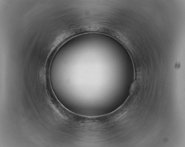 X0000091070626200708061302