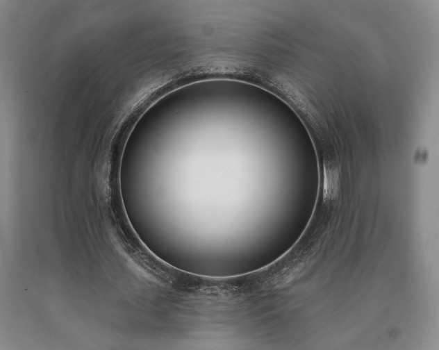 X0000091070627200708061302