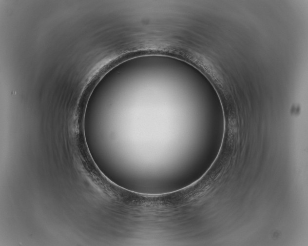 X0000091070628200708061302