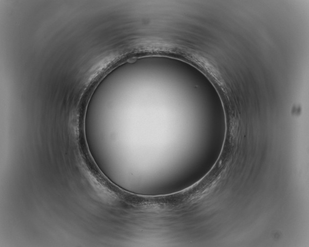X0000091070629200708061302