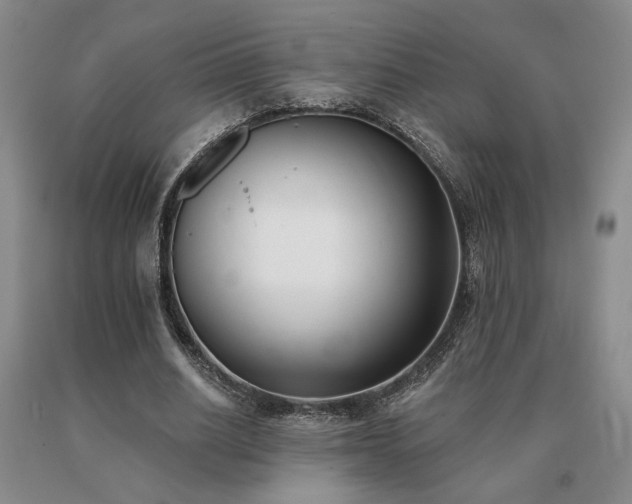 X0000091070630200708061302