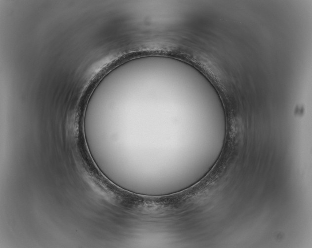 X0000091070632200708061302