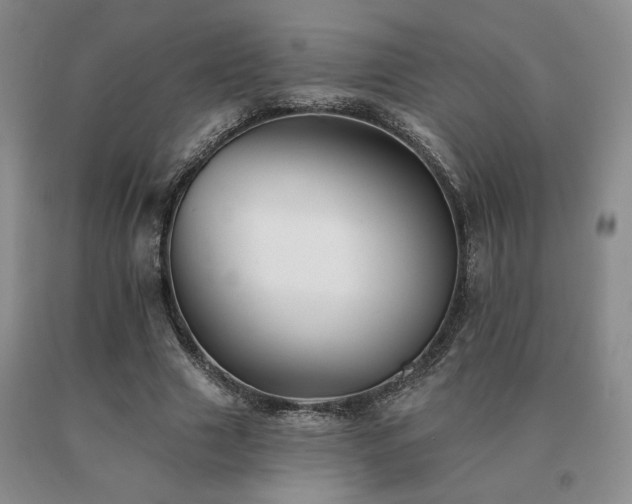 X0000091070633200708061302