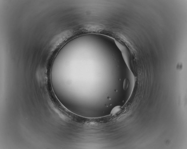 X0000091070634200708061302