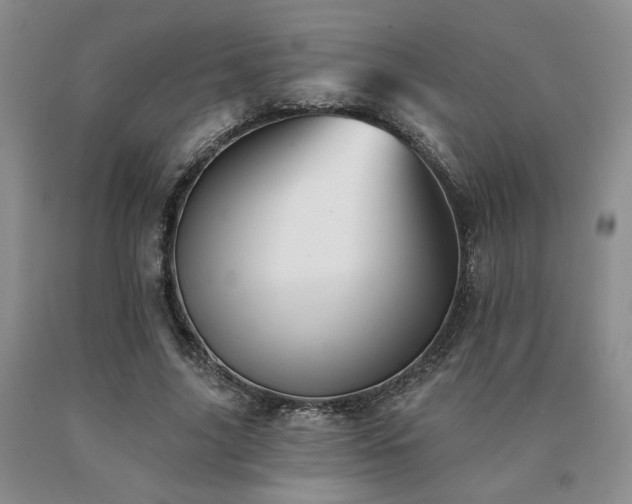 X0000091070635200708061302