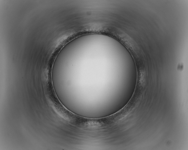 X0000091070636200708061302