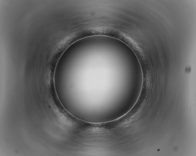 X0000091070637200708061302