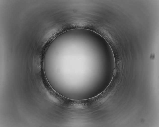 X0000091070638200708061302