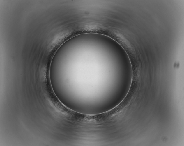 X0000091070640200708061302
