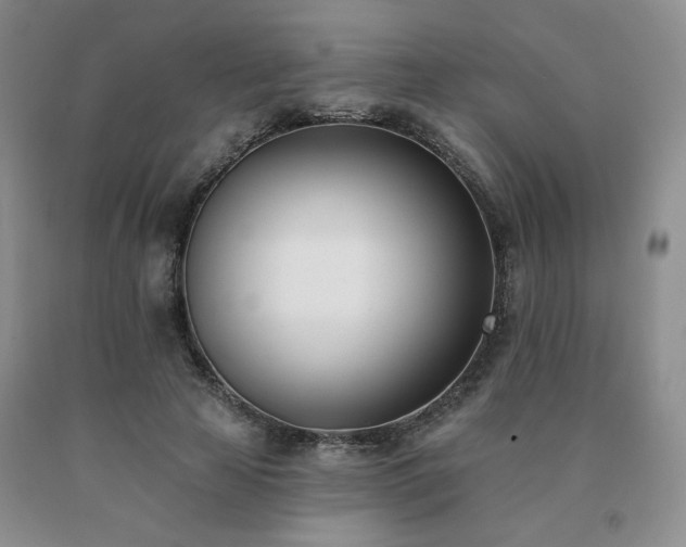 X0000091070641200708061302