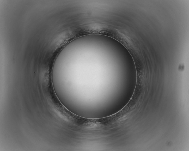 X0000091070642200708061302