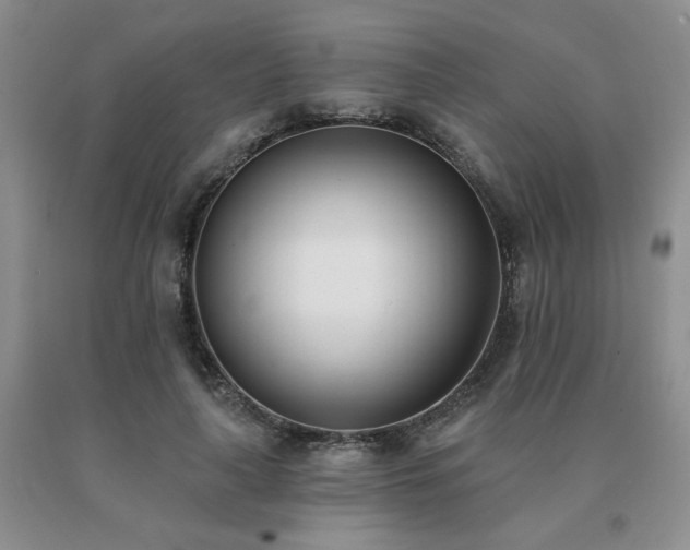 X0000091070643200708061302