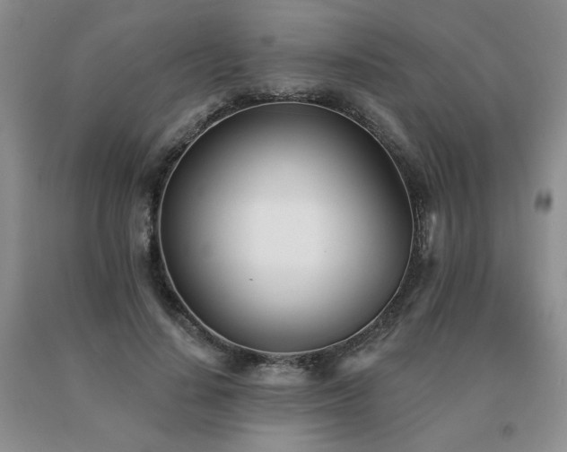X0000091070644200708061302