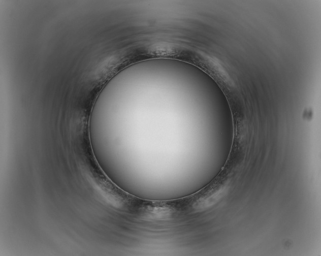 X0000091070645200708061302