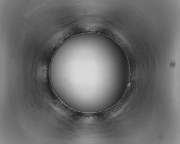 X0000091070646200708061302