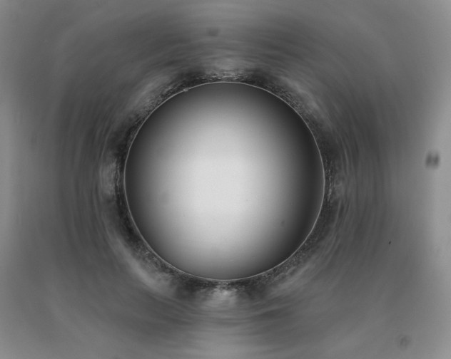 X0000091070647200708061302