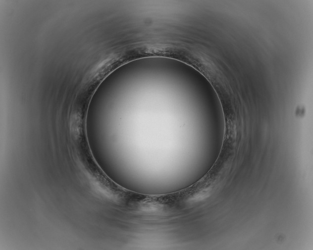 X0000091070648200708061302