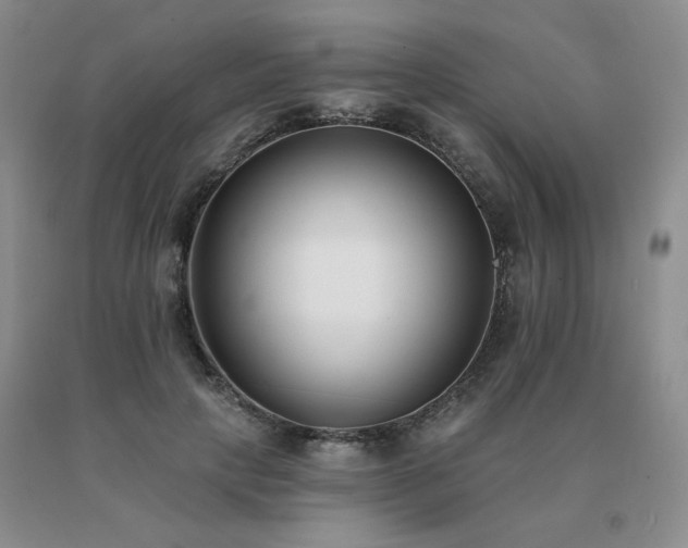 X0000091070649200708061302