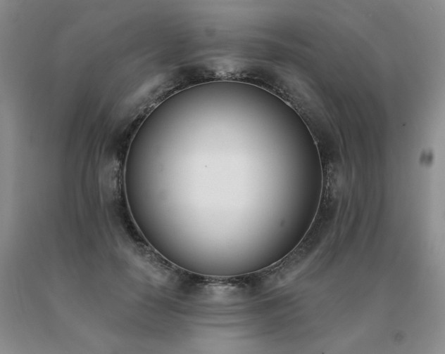 X0000091070650200708061302