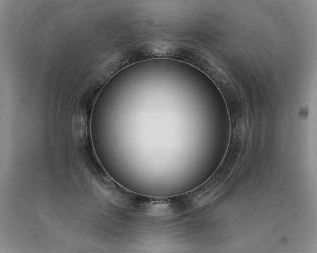 X0000091070651200708061302