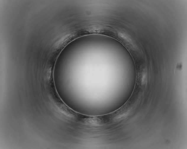 X0000091070652200708061302