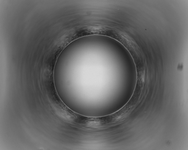 X0000091070653200708061302