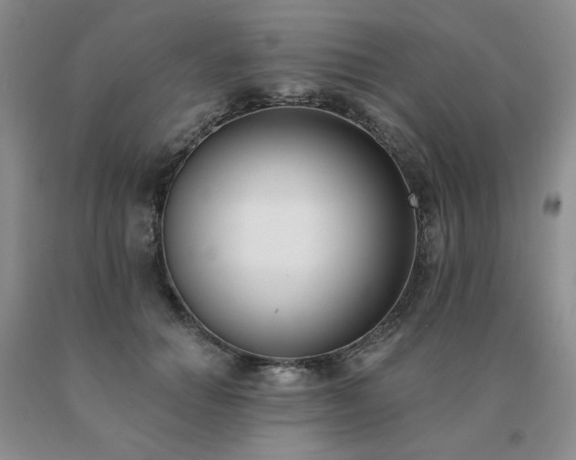 X0000091070654200708061302