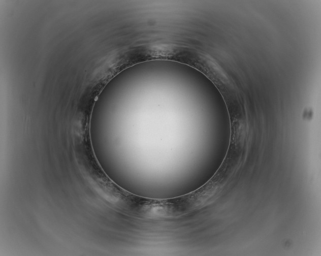 X0000091070655200708061303