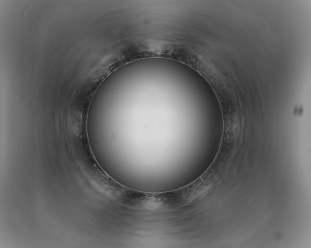 X0000091070656200708061303