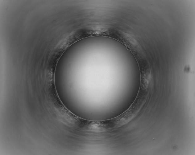 X0000091070657200708061303