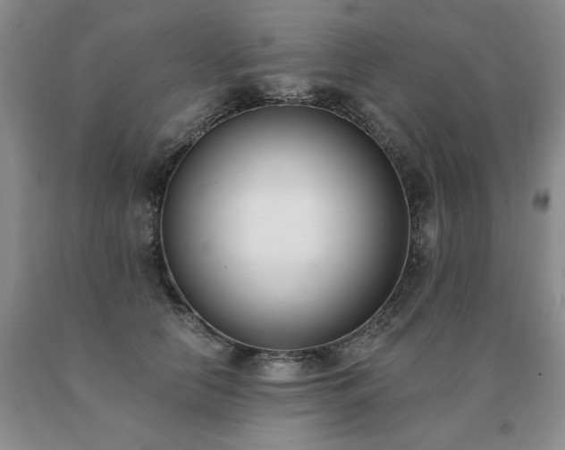 X0000091070658200708061303