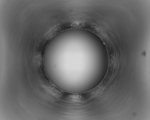 X0000091070659200708061303